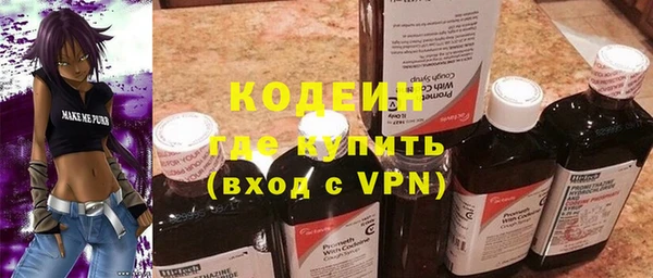 индика Воткинск